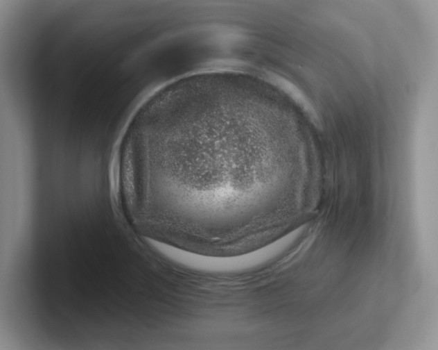 X0000102311275200808081558