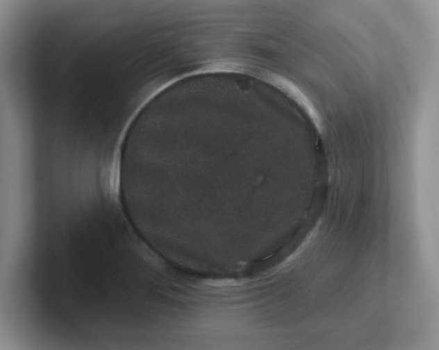 X0000102311276200808081558