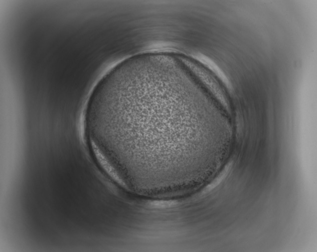 X0000102311277200808081558