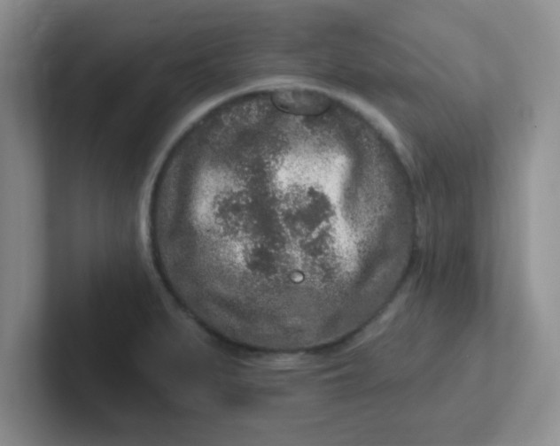 X0000102311279200808081558