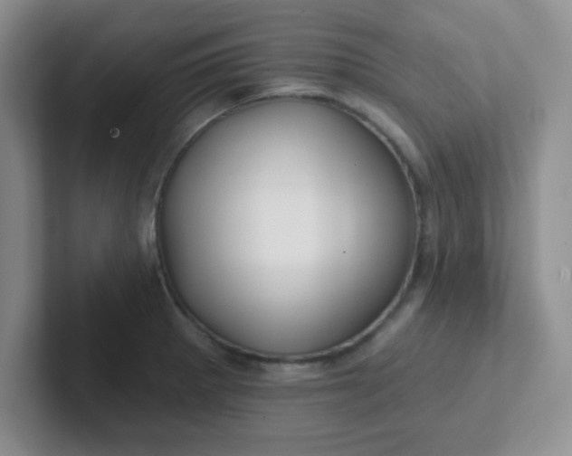 X0000102311281200808081558