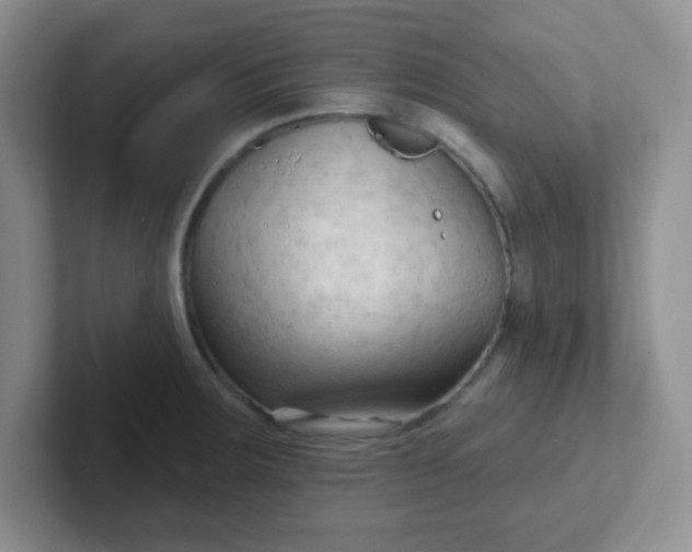 X0000102311283200808081557