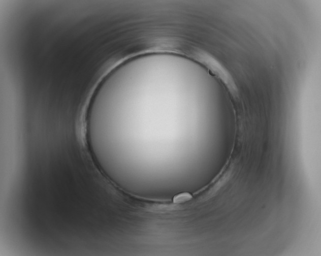 X0000102311284200808081557