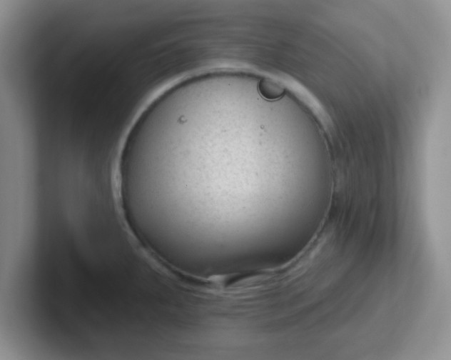 X0000102311287200808081557