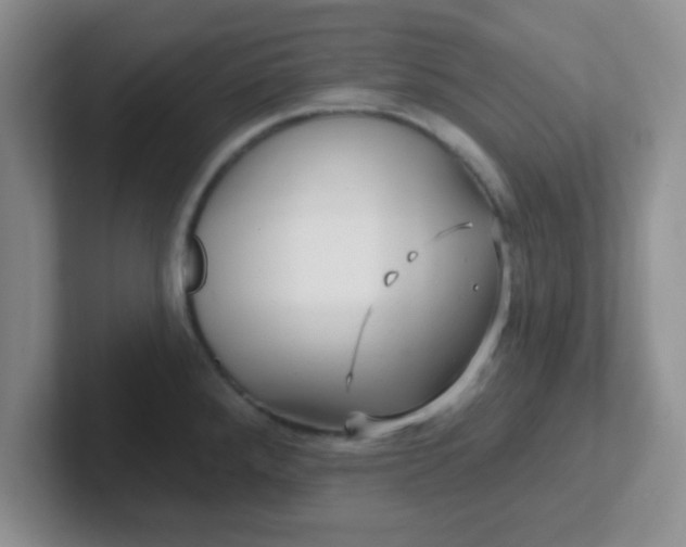 X0000102311288200808081557