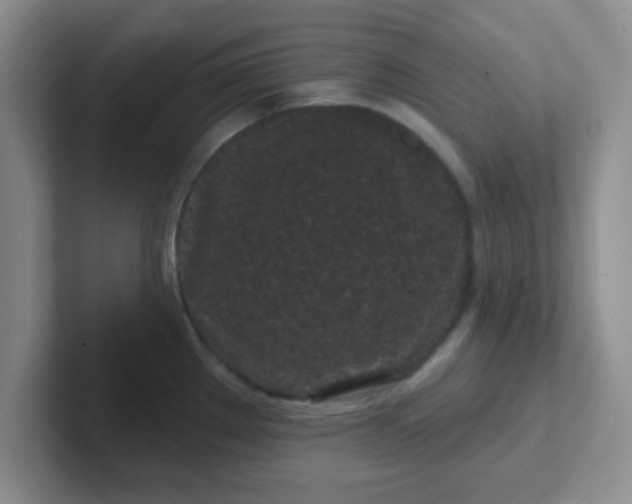 X0000102311289200808081557