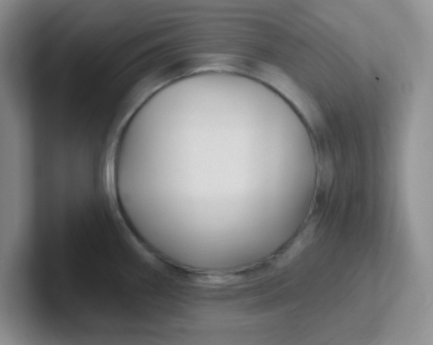 X0000102311290200808081557