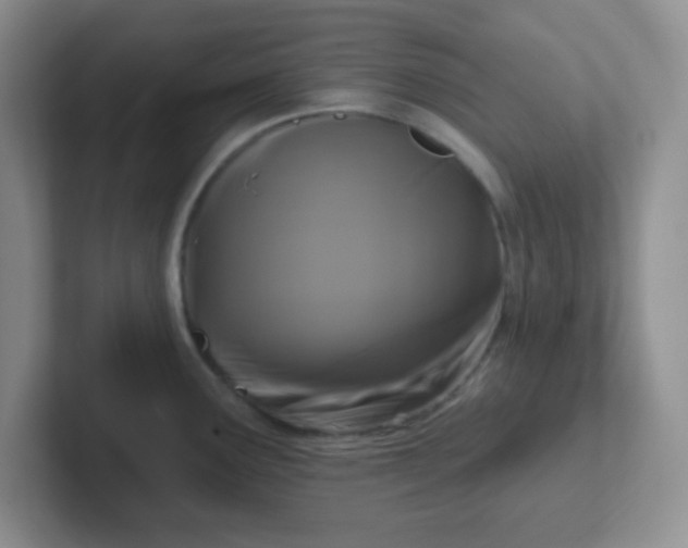 X0000102311291200808081557