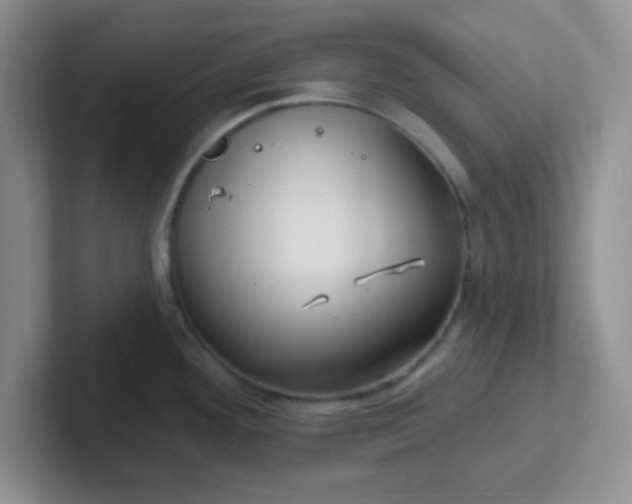 X0000102311292200808081557