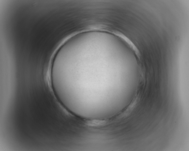 X0000102311294200808081557