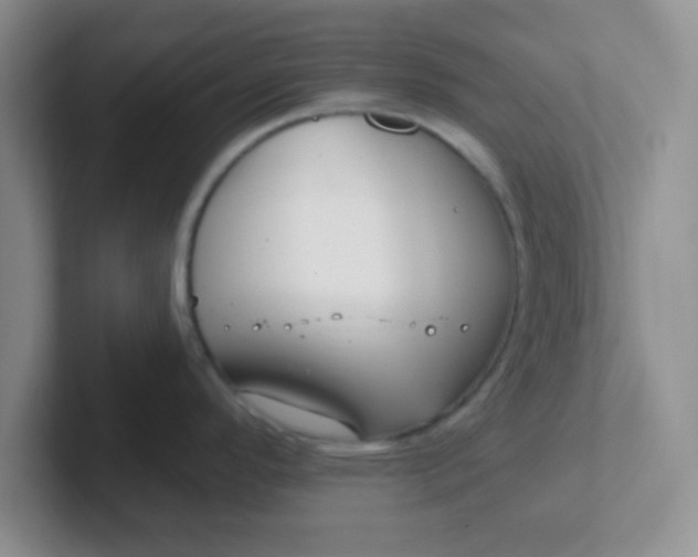 X0000102311296200808081557