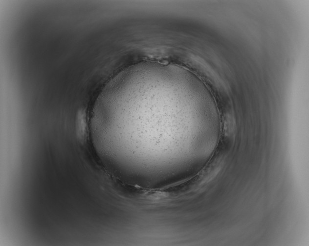 X0000102311298200808081557