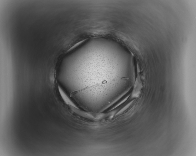 X0000102311300200808081557