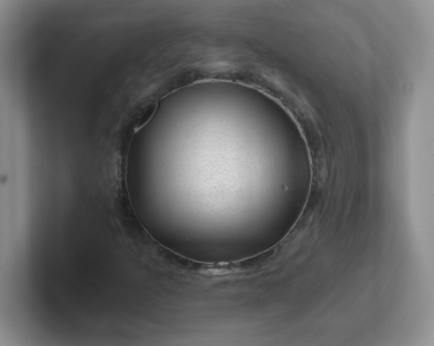 X0000102311301200808081557