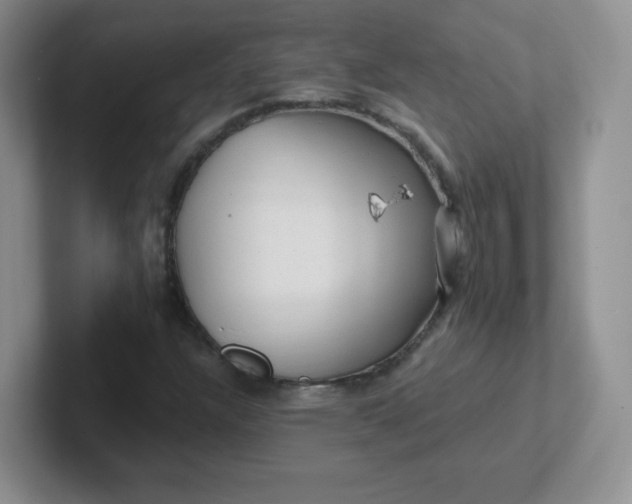 X0000102311304200808081557