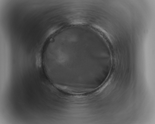 X0000102311306200808081557