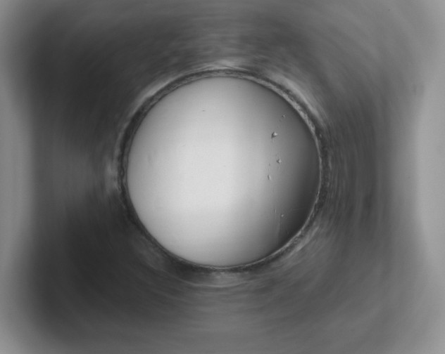 X0000102311308200808081557