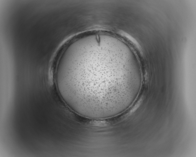 X0000102311310200808081557