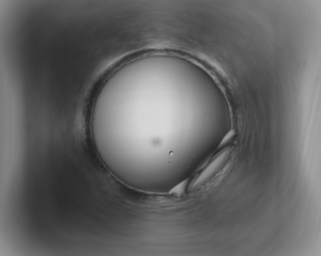 X0000102311311200808081557