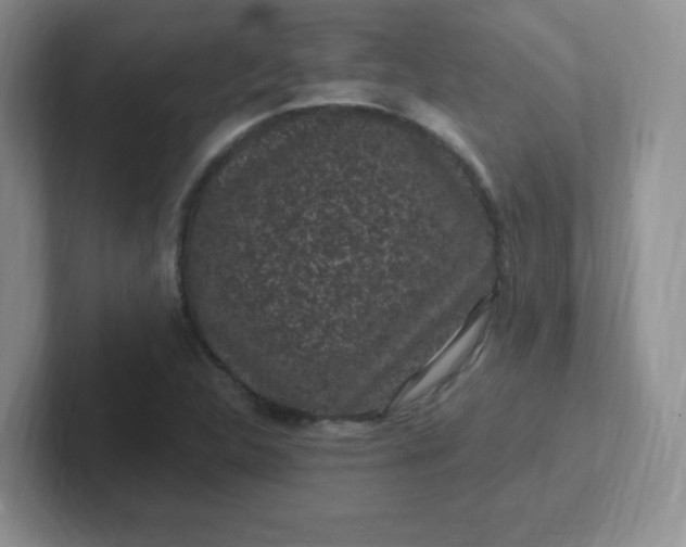 X0000102311312200808081557