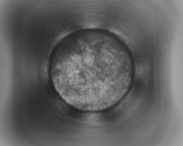 X0000102311314200808081557