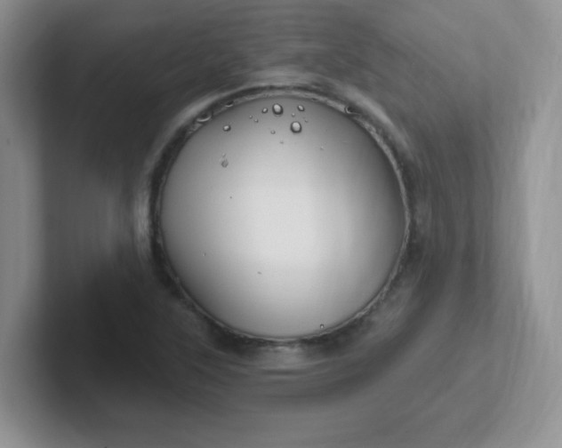 X0000102311315200808081557