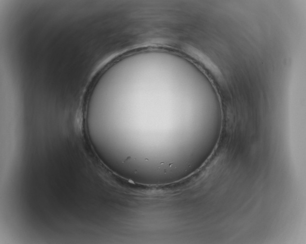 X0000102311316200808081557