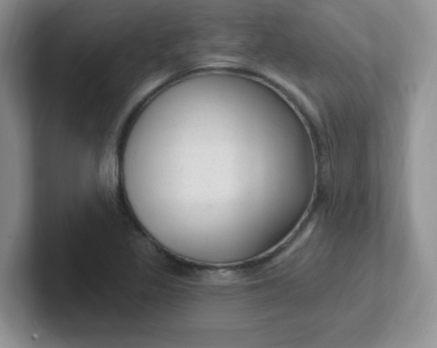 X0000102311317200808081557