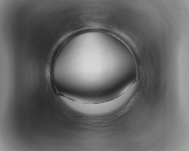 X0000102311318200808081557