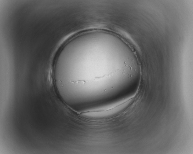 X0000102311320200808081557