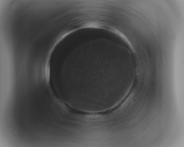 X0000102311323200808081557