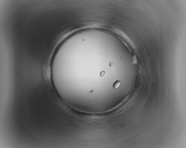 X0000102311324200808081557