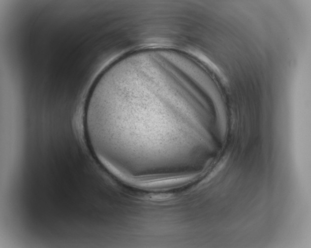 X0000102311325200808081557