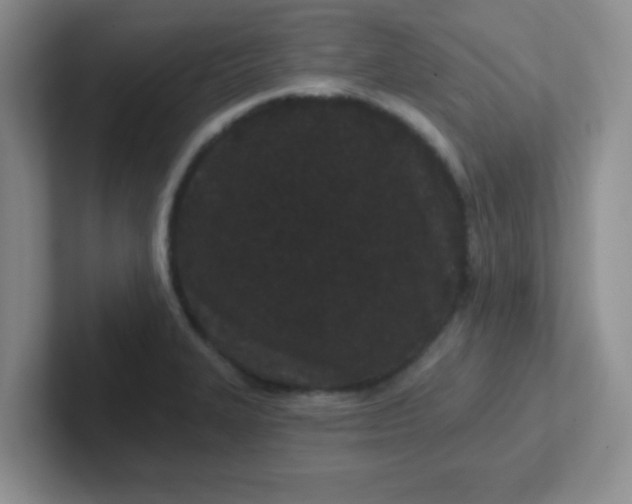 X0000102311327200808081557