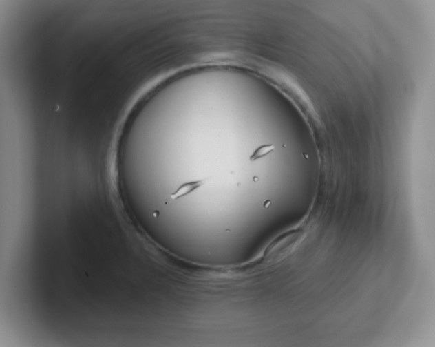 X0000102311328200808081557