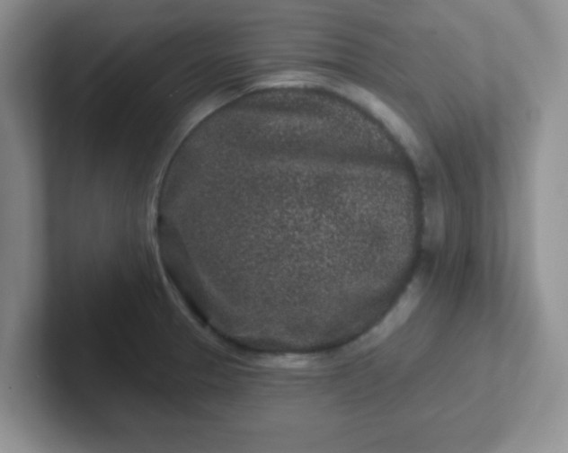 X0000102311329200808081557