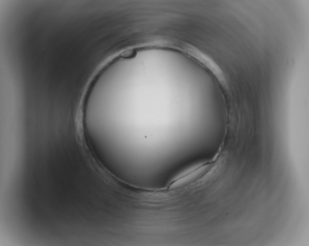 X0000102311332200808081557