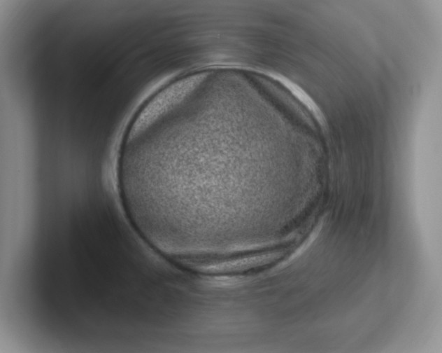 X0000102311333200808081557