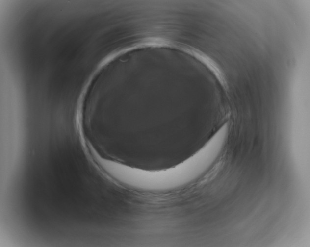 X0000102311334200808081557