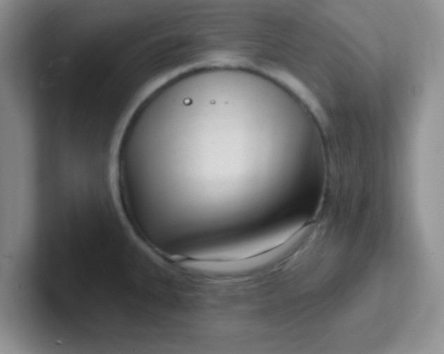 X0000102311335200808081557