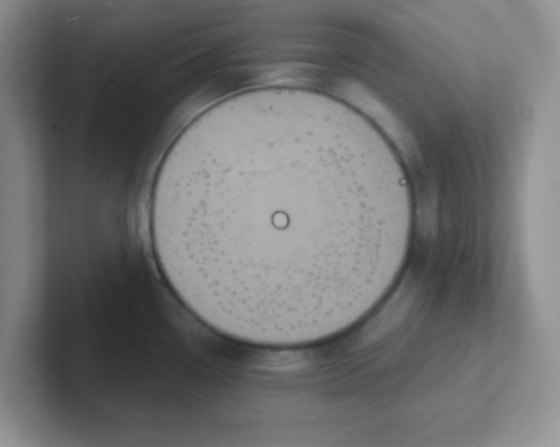 X0000102311338200808081557