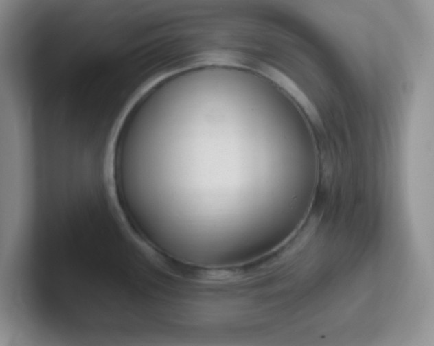 X0000102311339200808081557