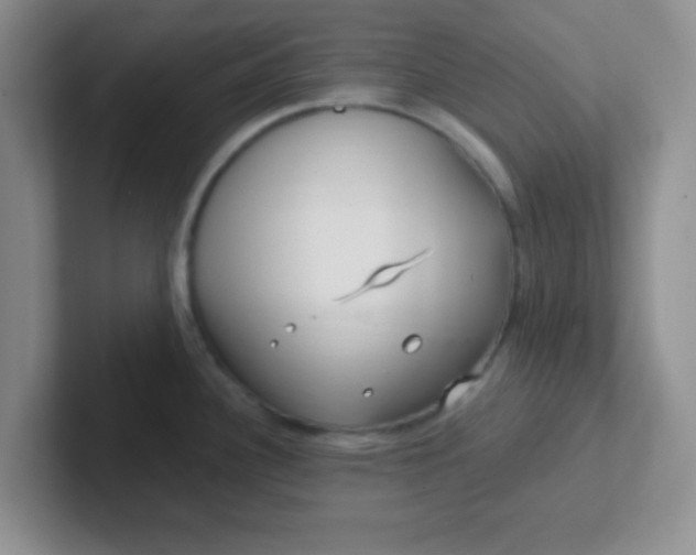 X0000102311340200808081557