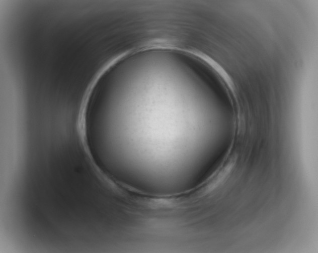 X0000102311341200808081557