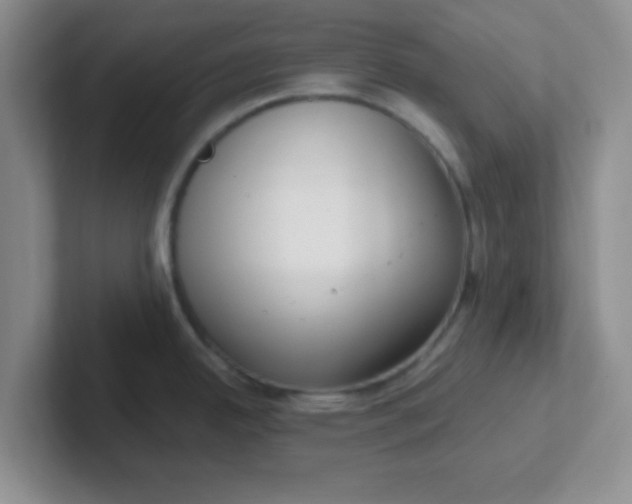 X0000102311342200808081557