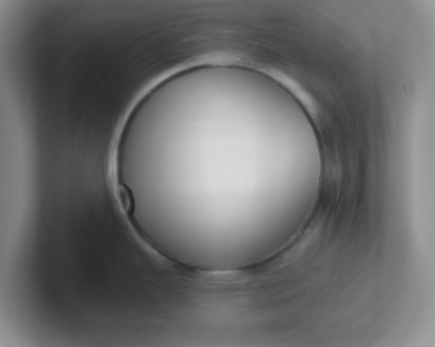 X0000102311343200808081557