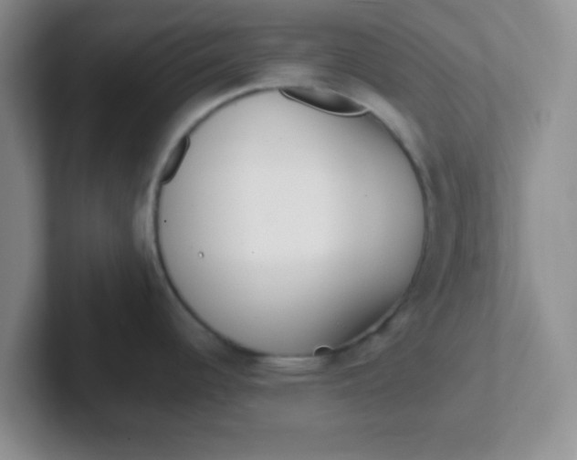 X0000102311344200808081557