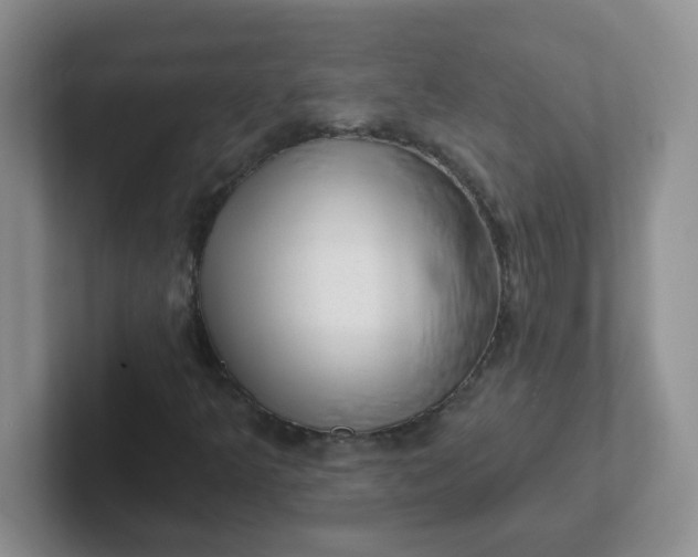 X0000102311349200808081556