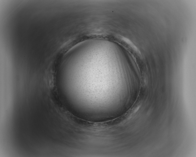 X0000102311350200808081556