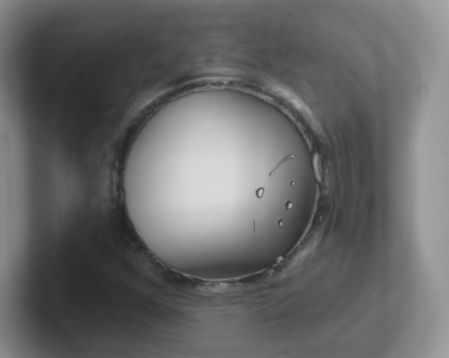 X0000102311352200808081556